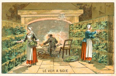 Rearing silkworms by French School